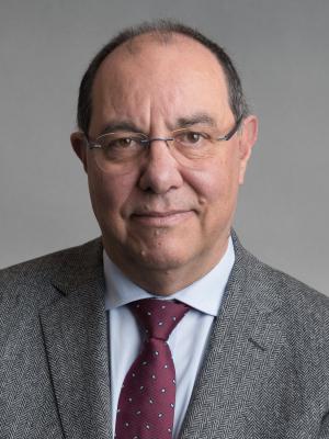 Jorge Gil Meneses